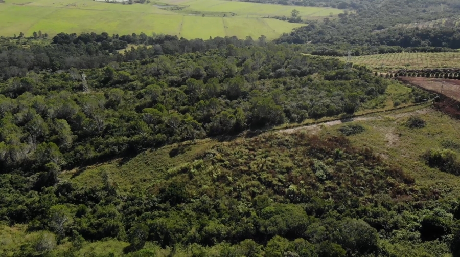 Commercial Property for Sale in Meisies Halt Eastern Cape